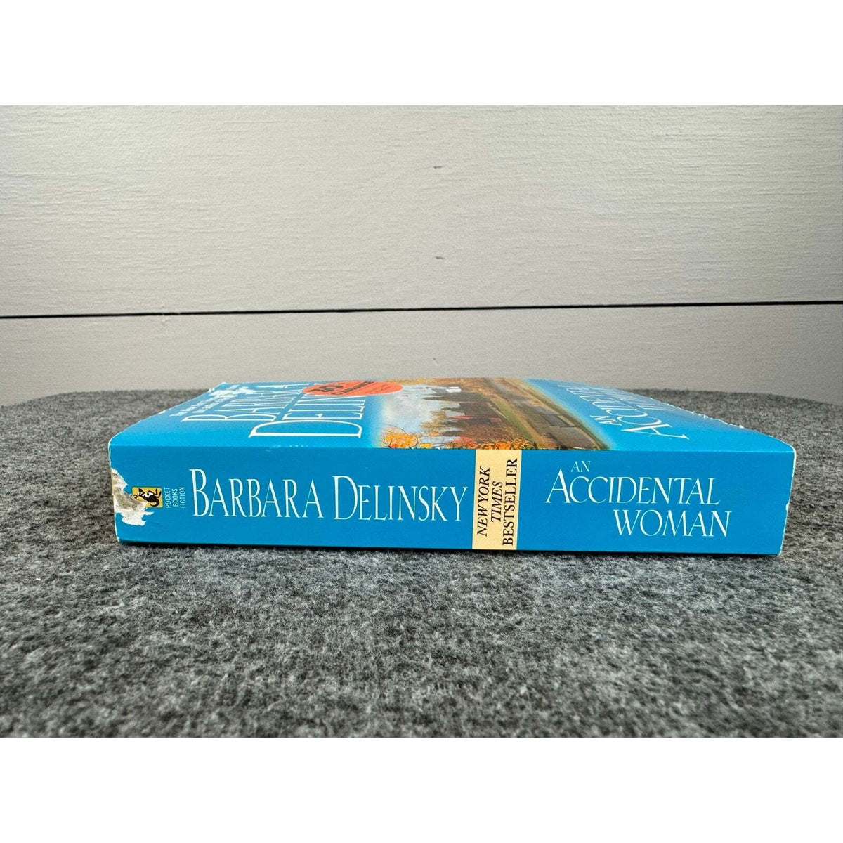 An Accidental Woman by Barbara Delinsky (Paperback) - Image 3