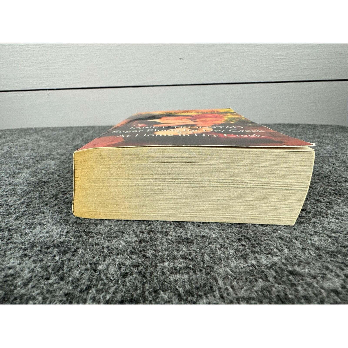 Sugar Plums for Dry Creek / At Home in Dry Creek by Janet Tronstad (Paperback) - Image 4