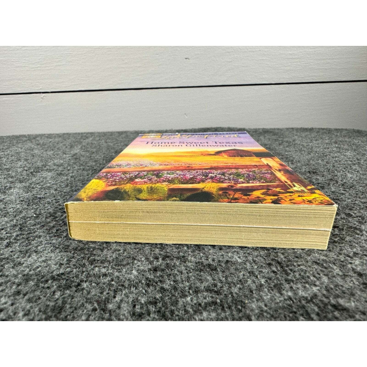 Home Sweet Texas by Sharon Gillenwater (Paperback) - Image 4