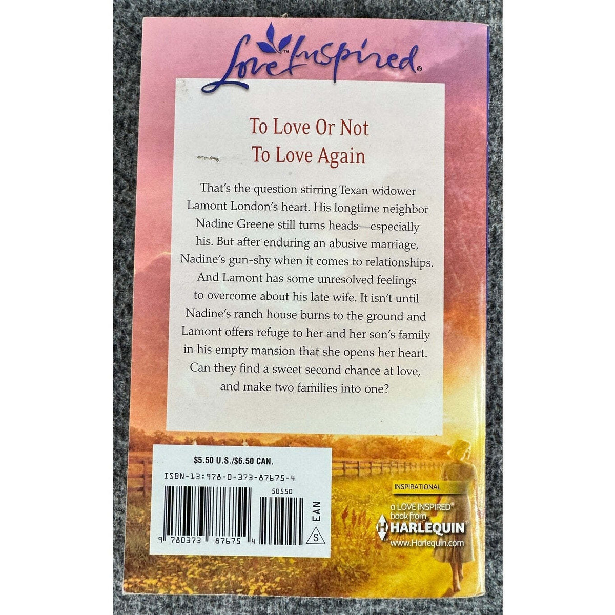 An Accidental Family by Loree Lough (Paperback) - Image 2