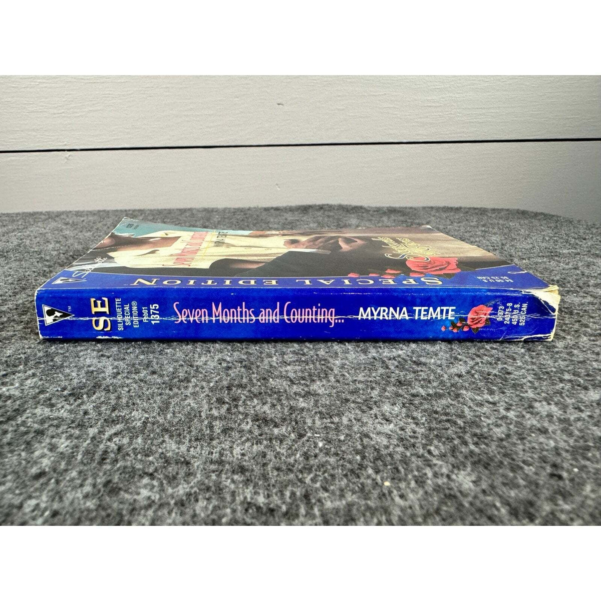 Seven Months And Counting... by Myrna Temte (Paperback) - Image 3