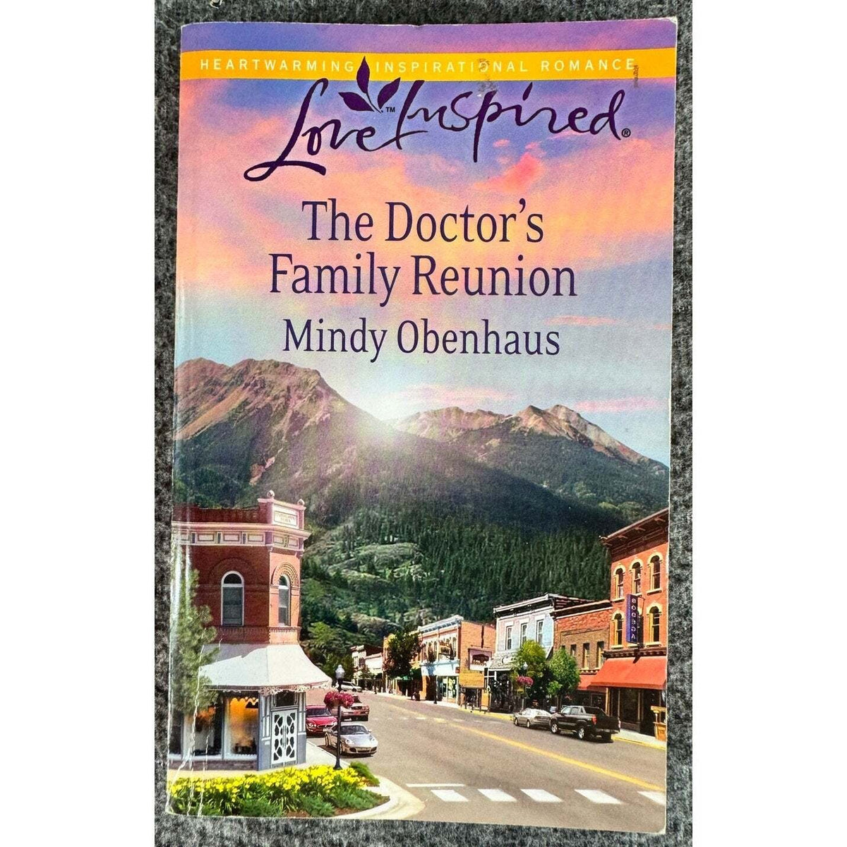 The Doctor's Family Reunion by Mindy Obenhaus (Paperback) - Image 1