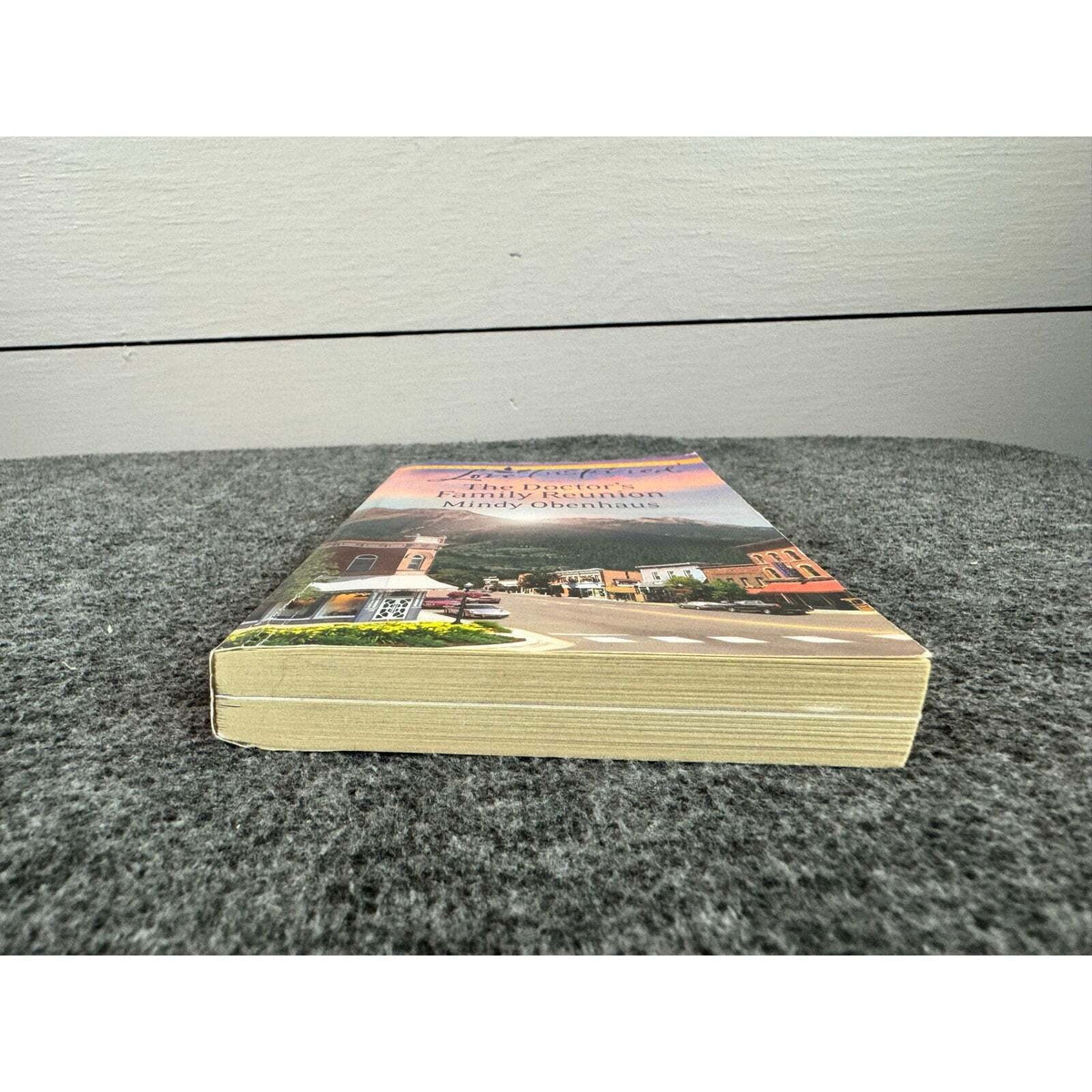 The Doctor's Family Reunion by Mindy Obenhaus (Paperback) - Image 4