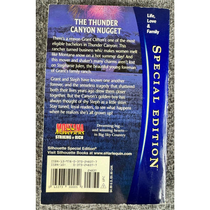 The Man Who Had Everything by Christine Rimmer (Paperback) - Image 2