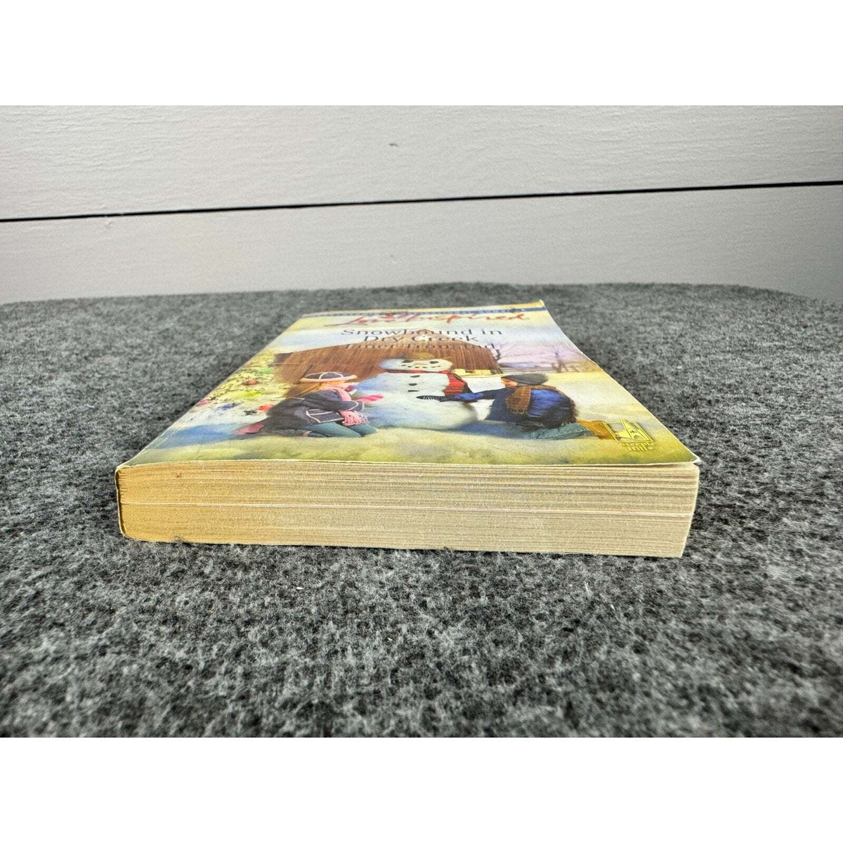Snowbound in Dry Creek by Janet Tronstad (Paperback) - Image 4