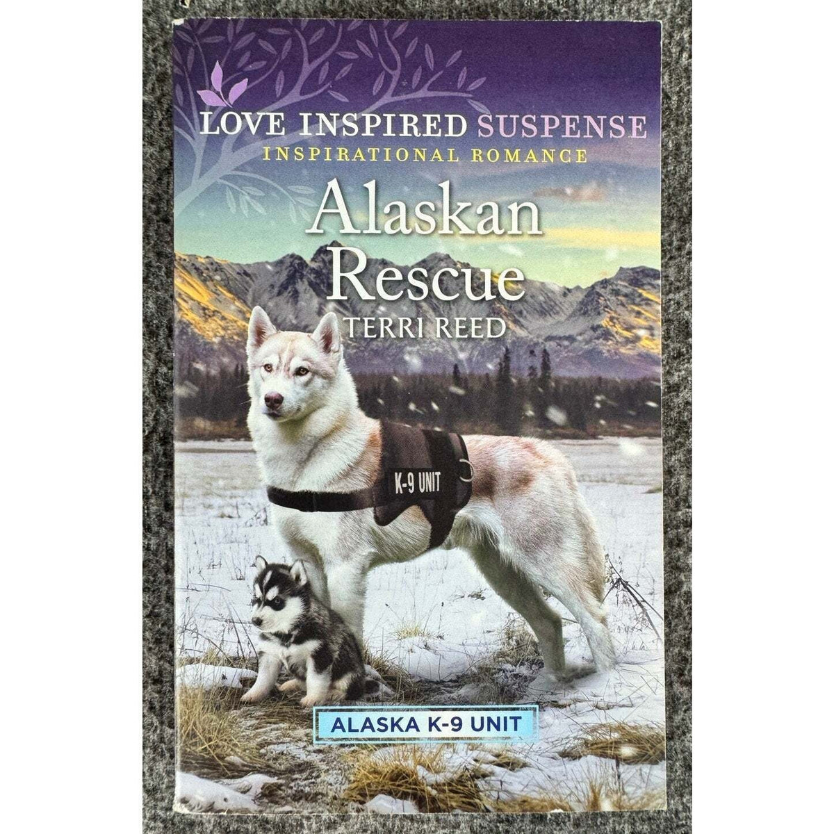 Alaskan Rescue by Terri Reed (Paperback) - Image 1