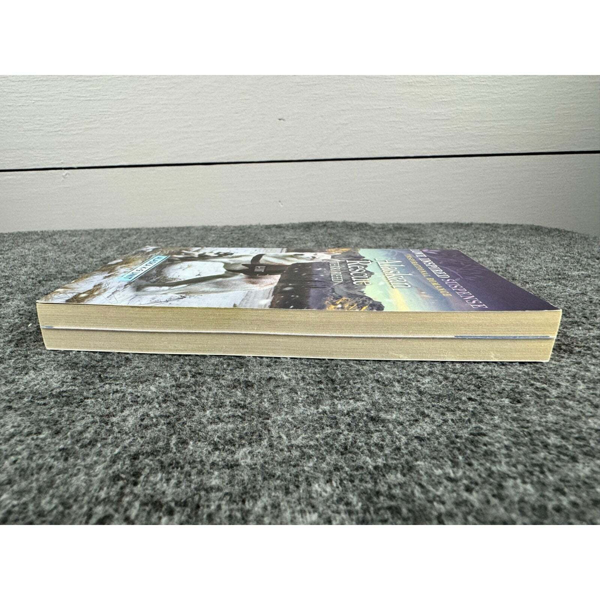 Alaskan Rescue by Terri Reed (Paperback) - Image 5