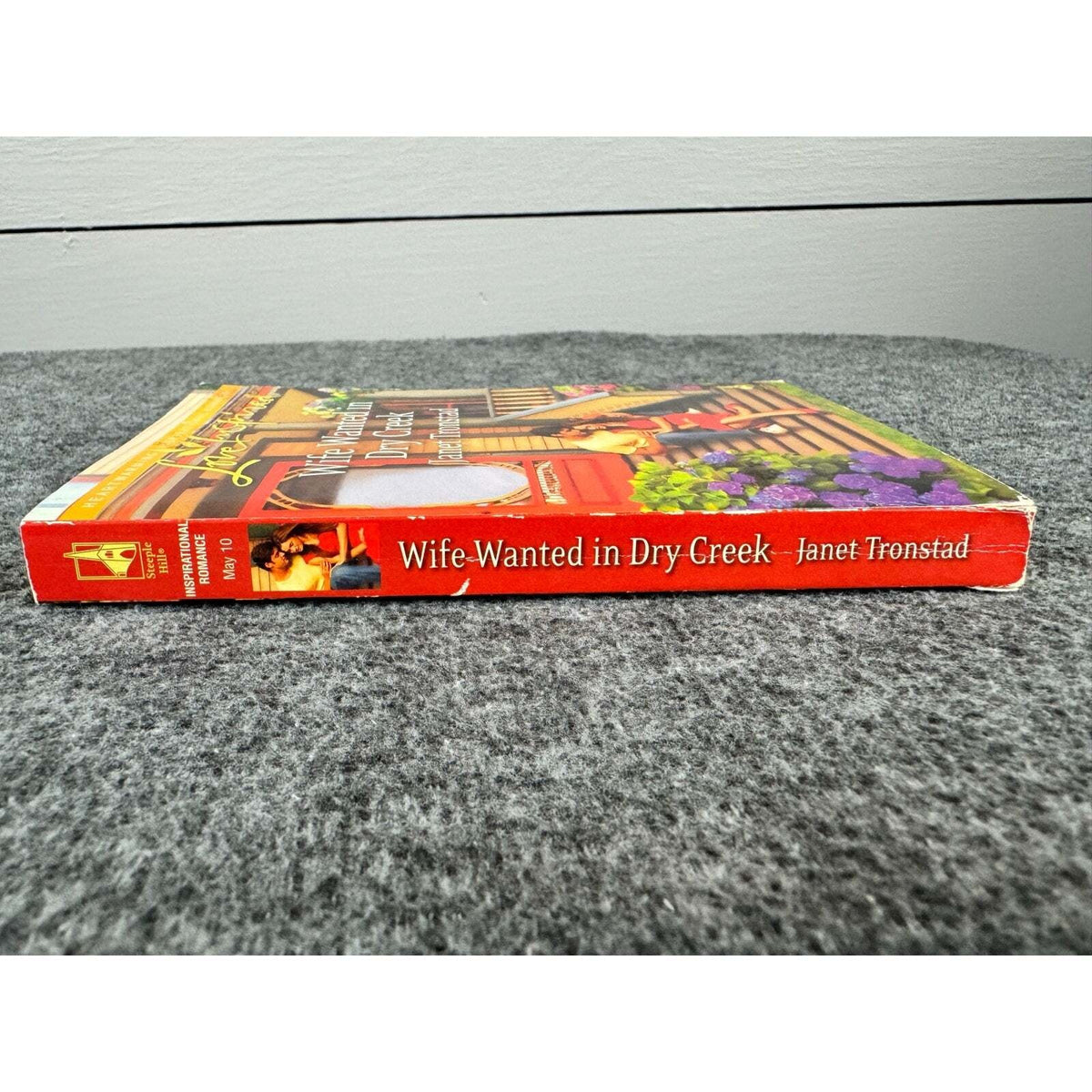 Wife Wanted in Dry Creek by Janet Tronstad (Paperback) - Image 3