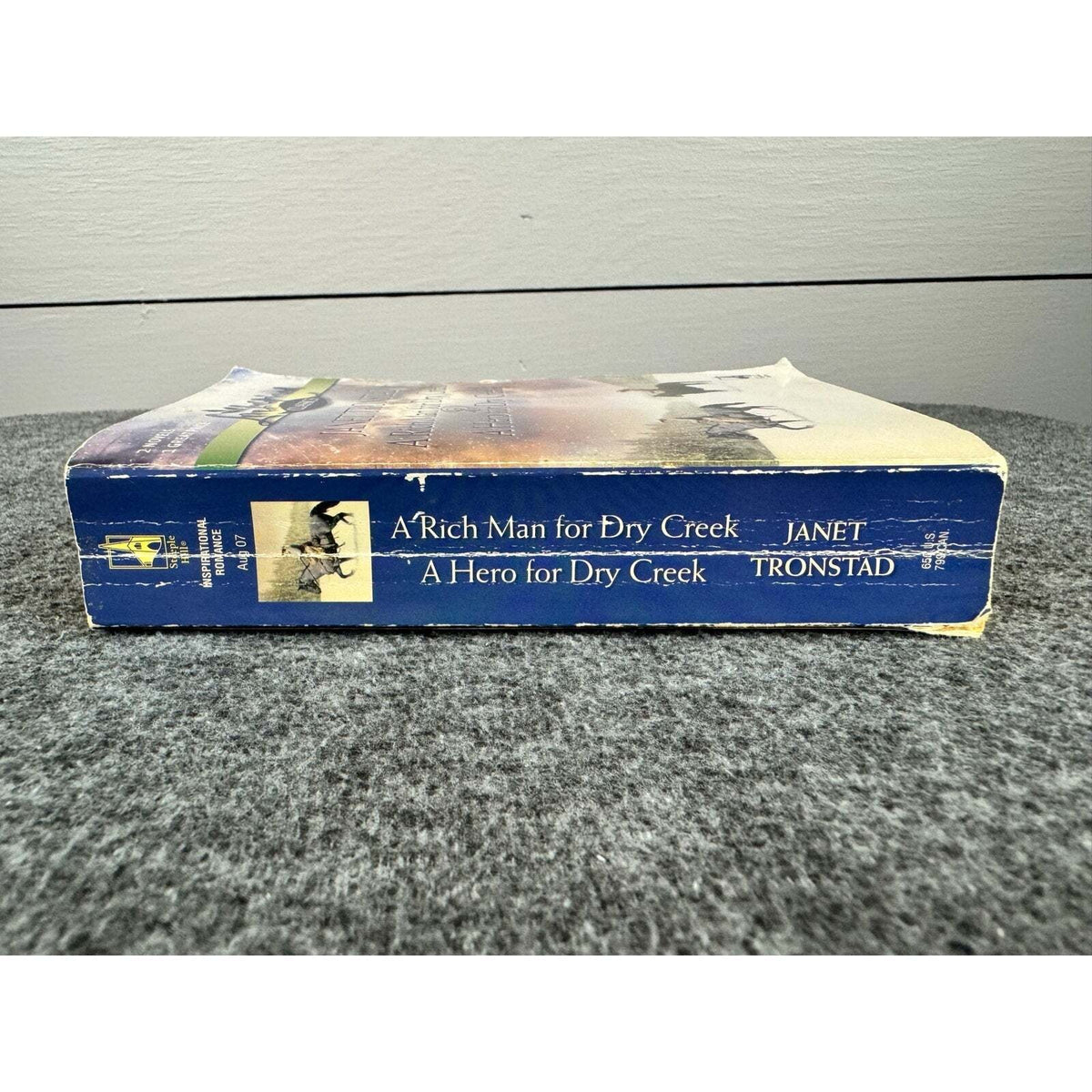 A Rich Man for Dry Creek by Janet Tronstad (Paperback) - Image 3