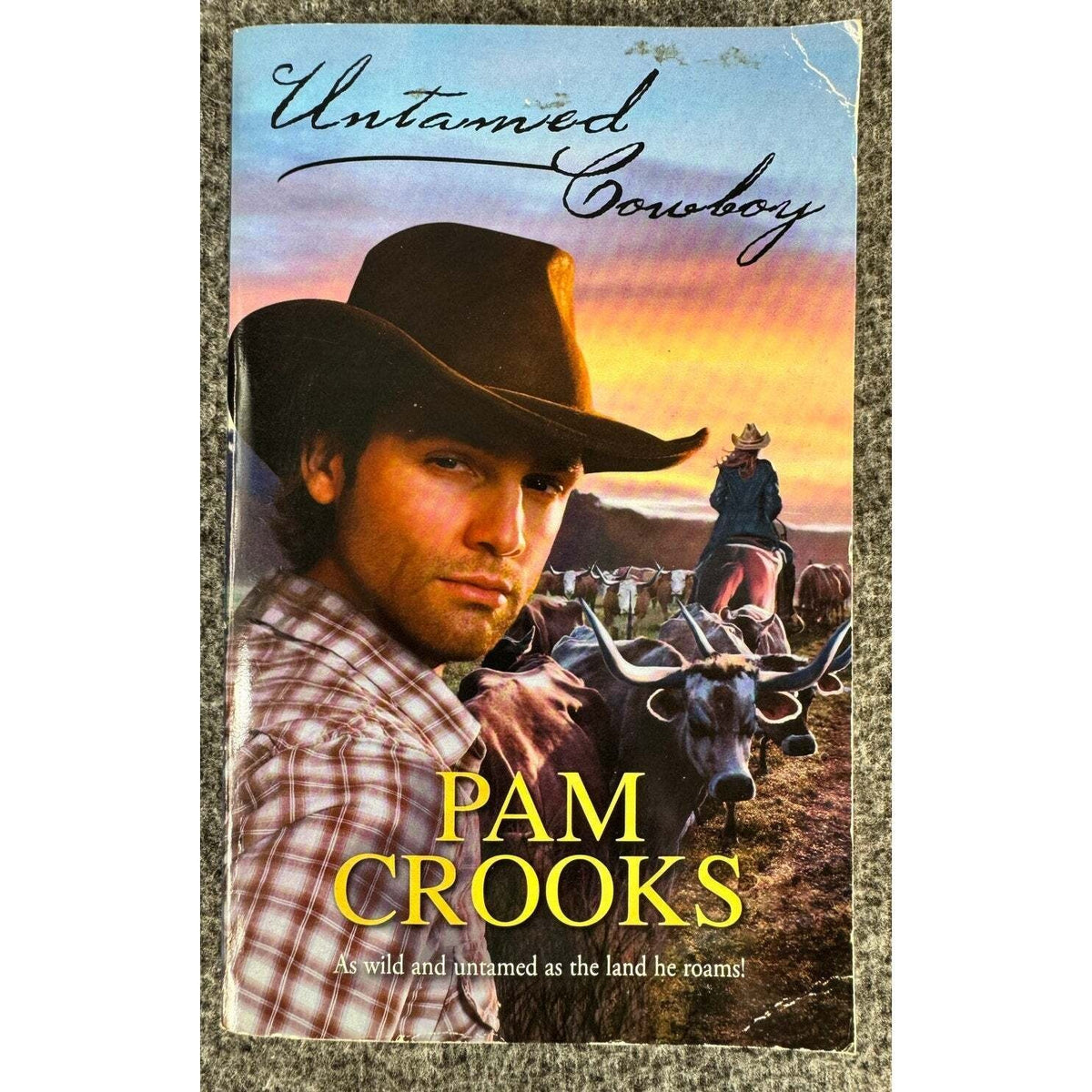 Untamed Cowboy by Pam Cooks (Paperback) - Image 1