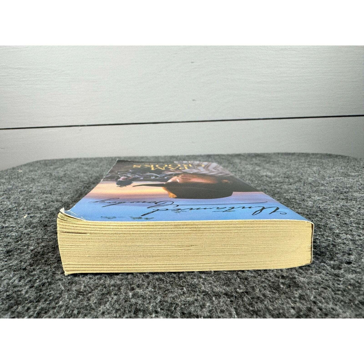 Untamed Cowboy by Pam Cooks (Paperback) - Image 6