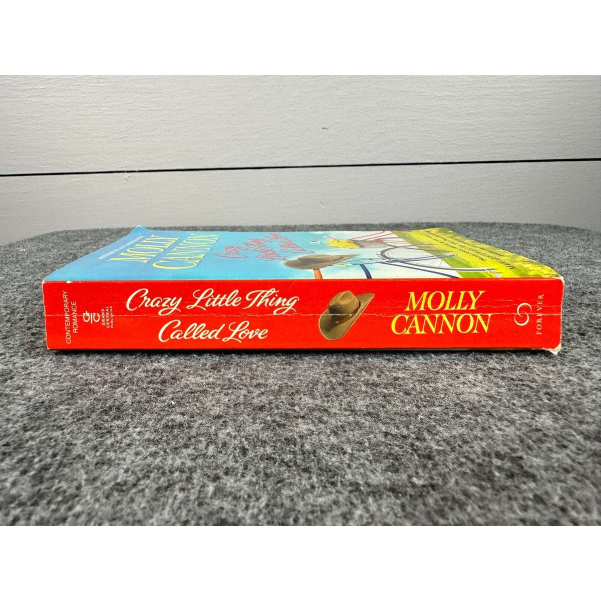 Crazy Little Thing Called Love by Molly Cannon (Paperback) - Image 3