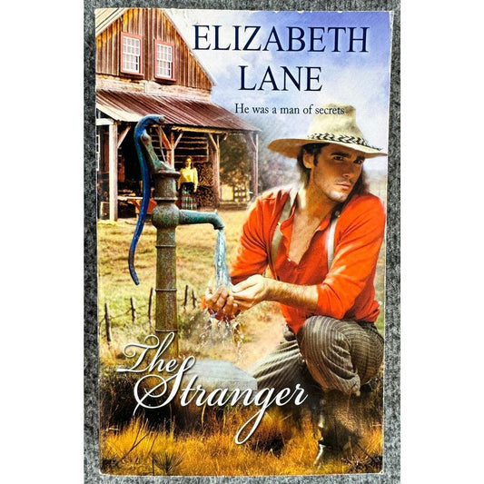 The Stranger by Elizabeth Lane (Paperback) - Image 1