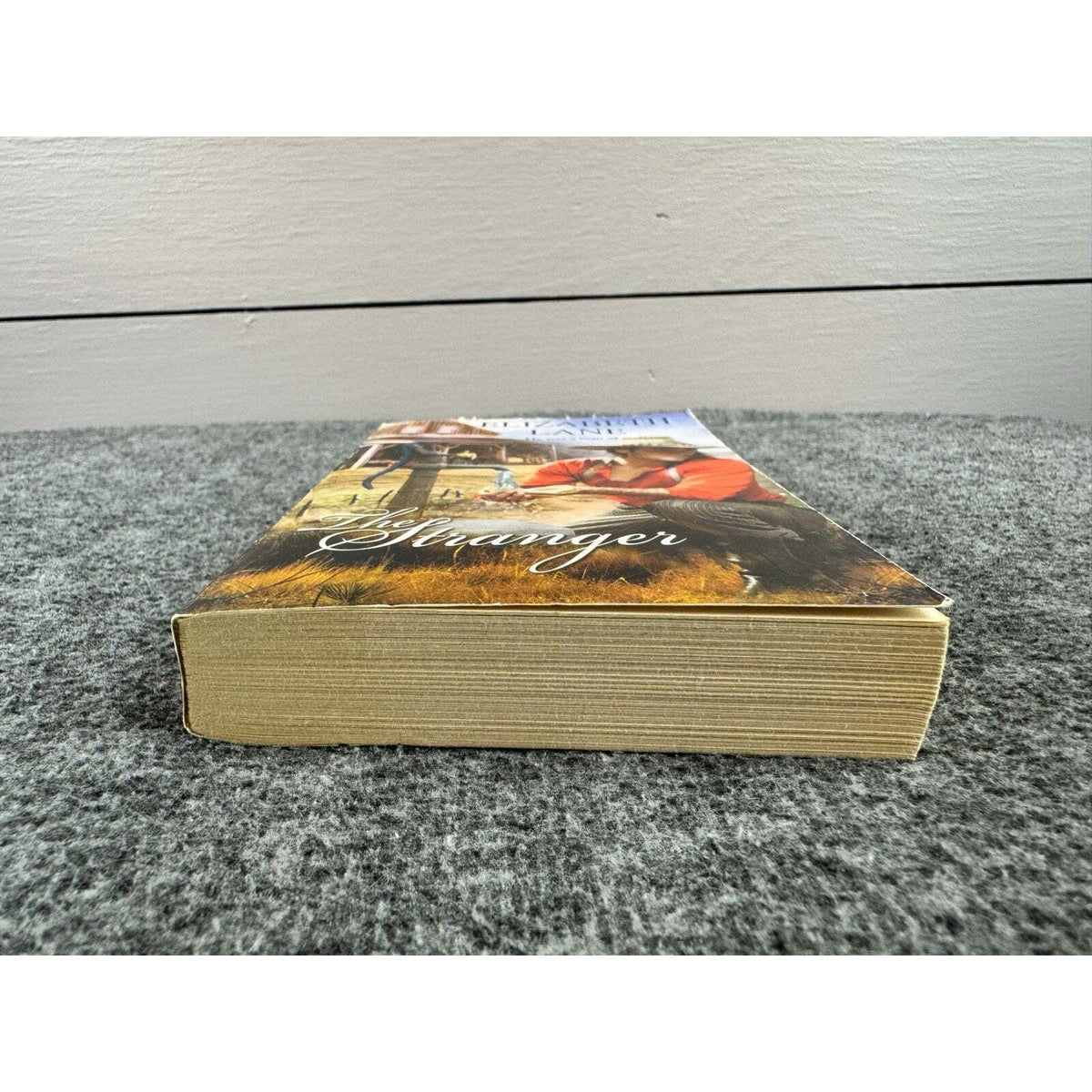 The Stranger by Elizabeth Lane (Paperback) - Image 4