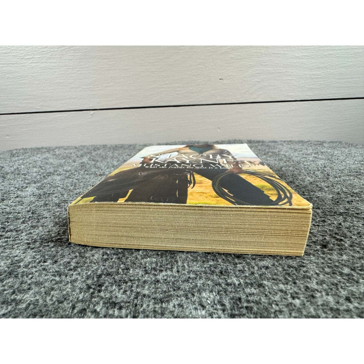 Mustang Wild by Stacey Kayne (Paperback) - Image 4