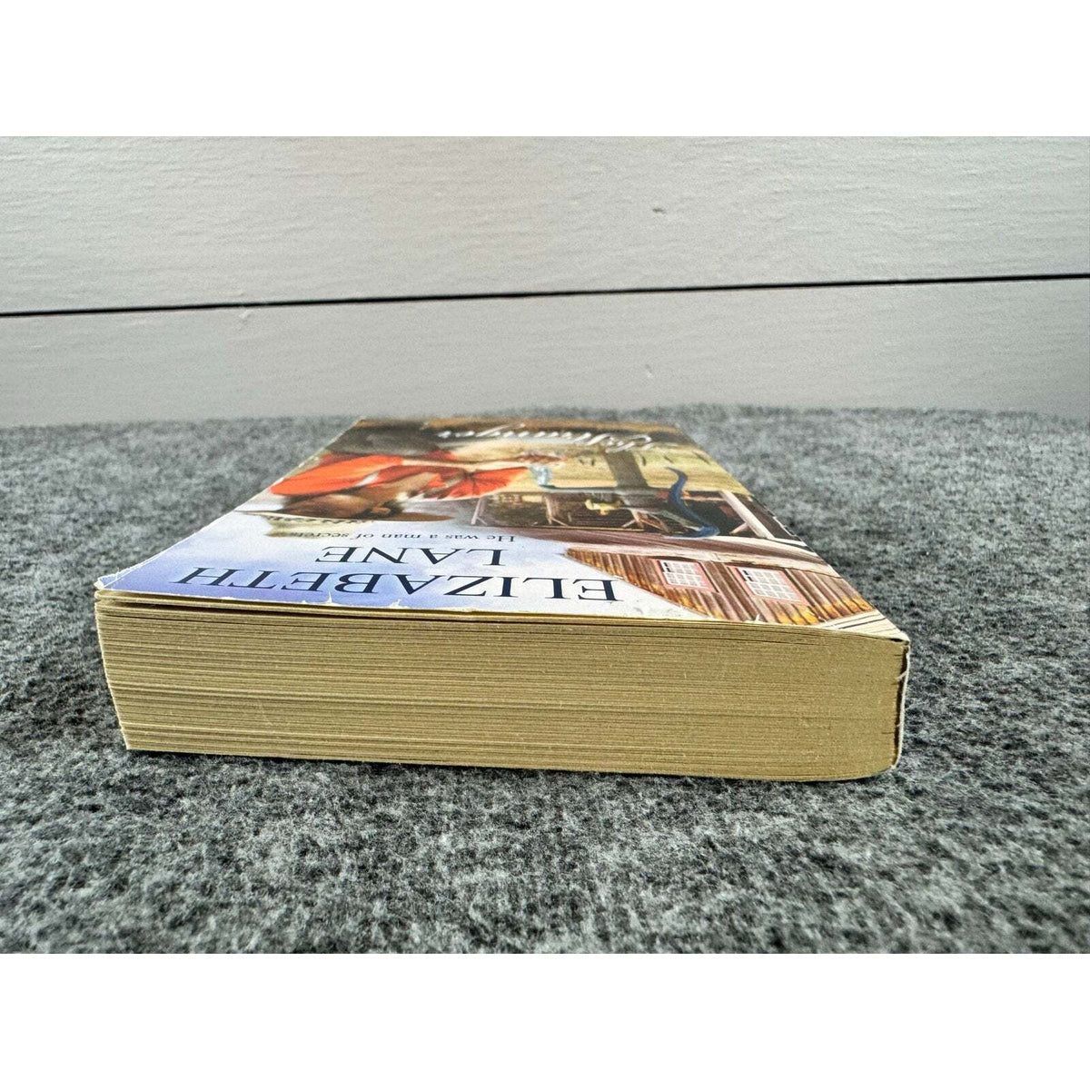 The Stranger by Elizabeth Lane (Paperback) - Image 6