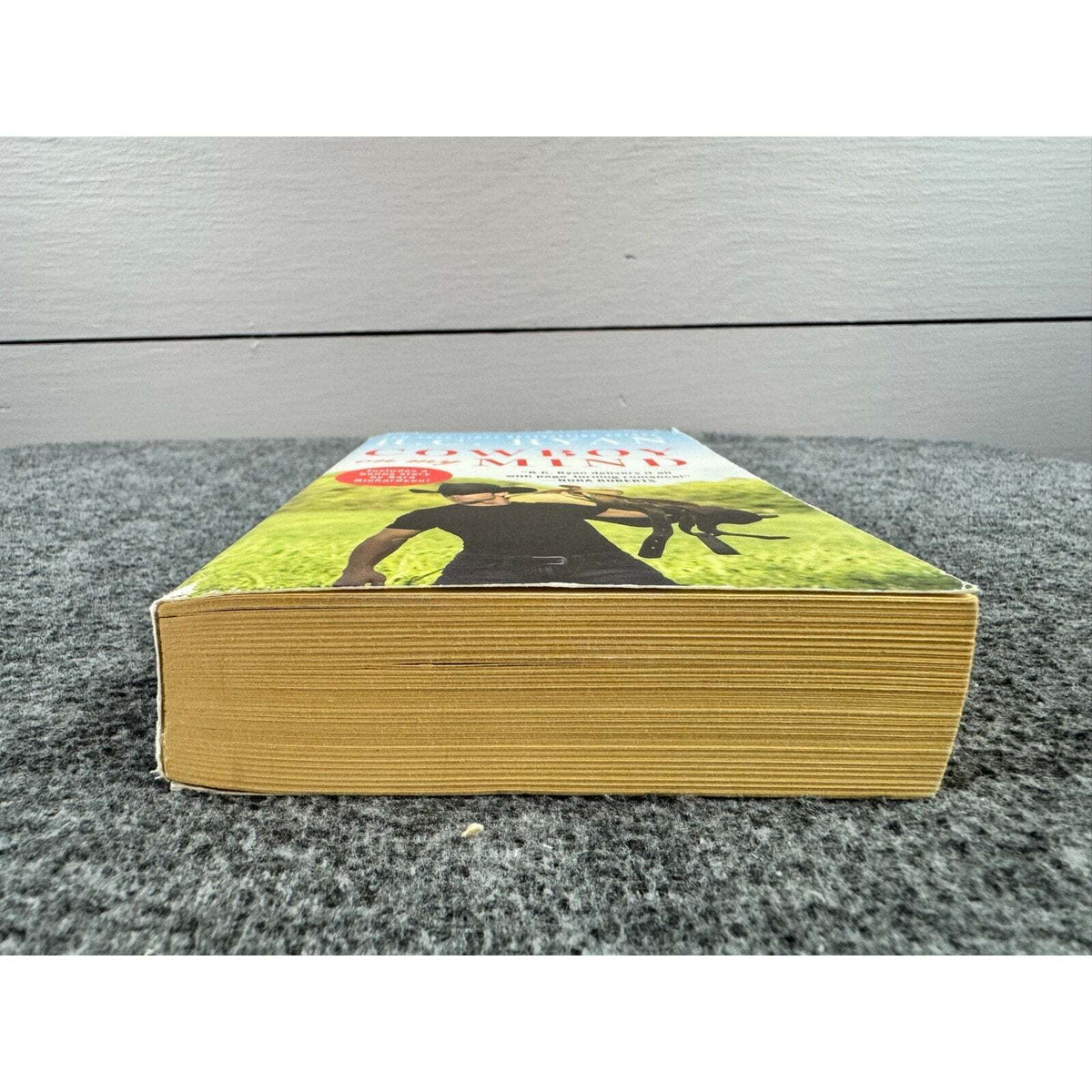 Cowboy on My Mind by R.C. Ryan (Paperback) - Image 4