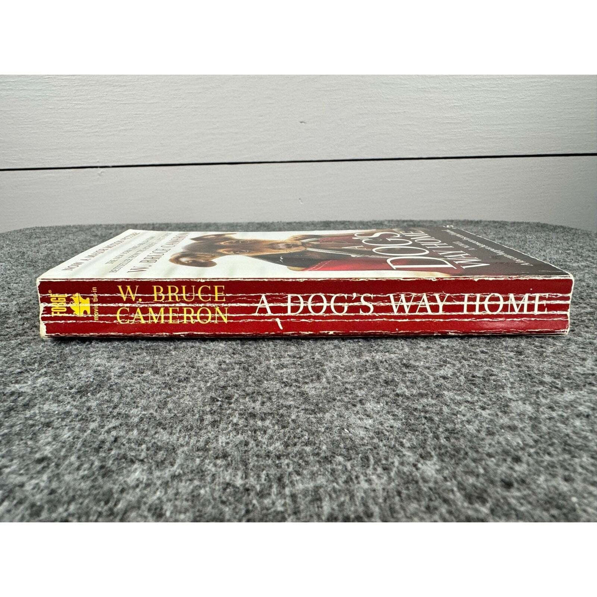 A Dog's Way Home by W. Bruce Cameron (Paperback) - Image 3