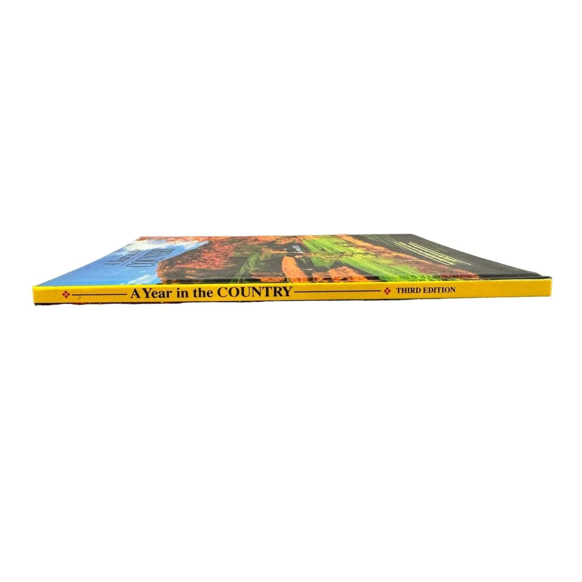 A Year in the Country by Linda Piepenbrink (Hardcover) - Image 2