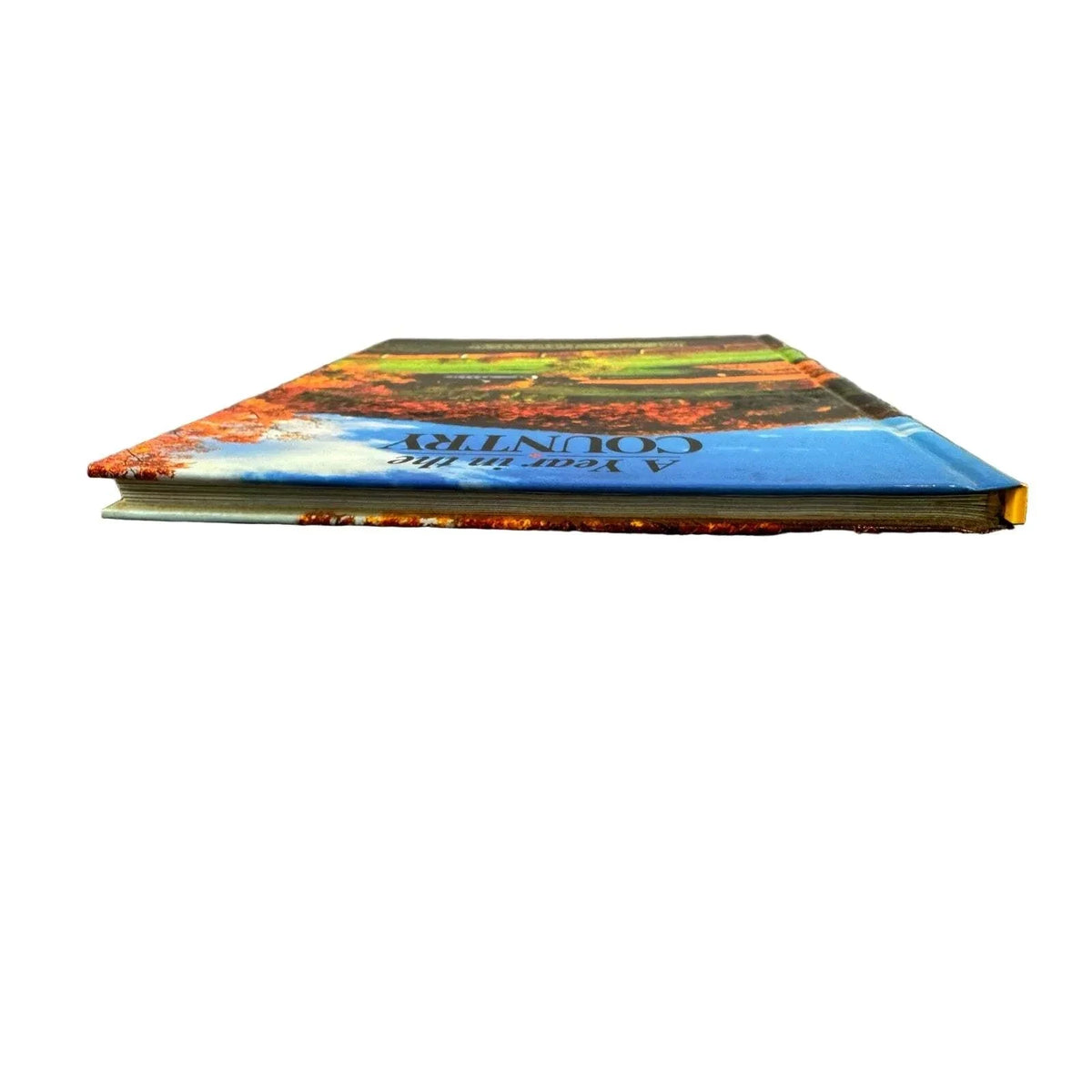 A Year in the Country by Linda Piepenbrink (Hardcover) - Image 5