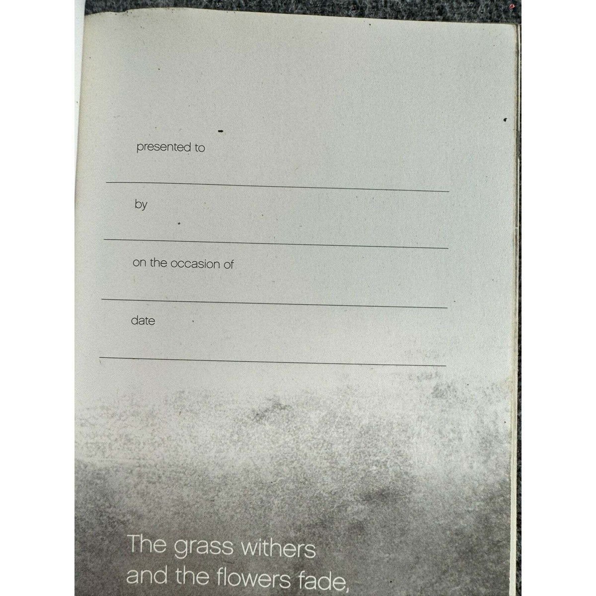 New Believer's Bible-New Testament by Anonymous (Paperback) - Image 7