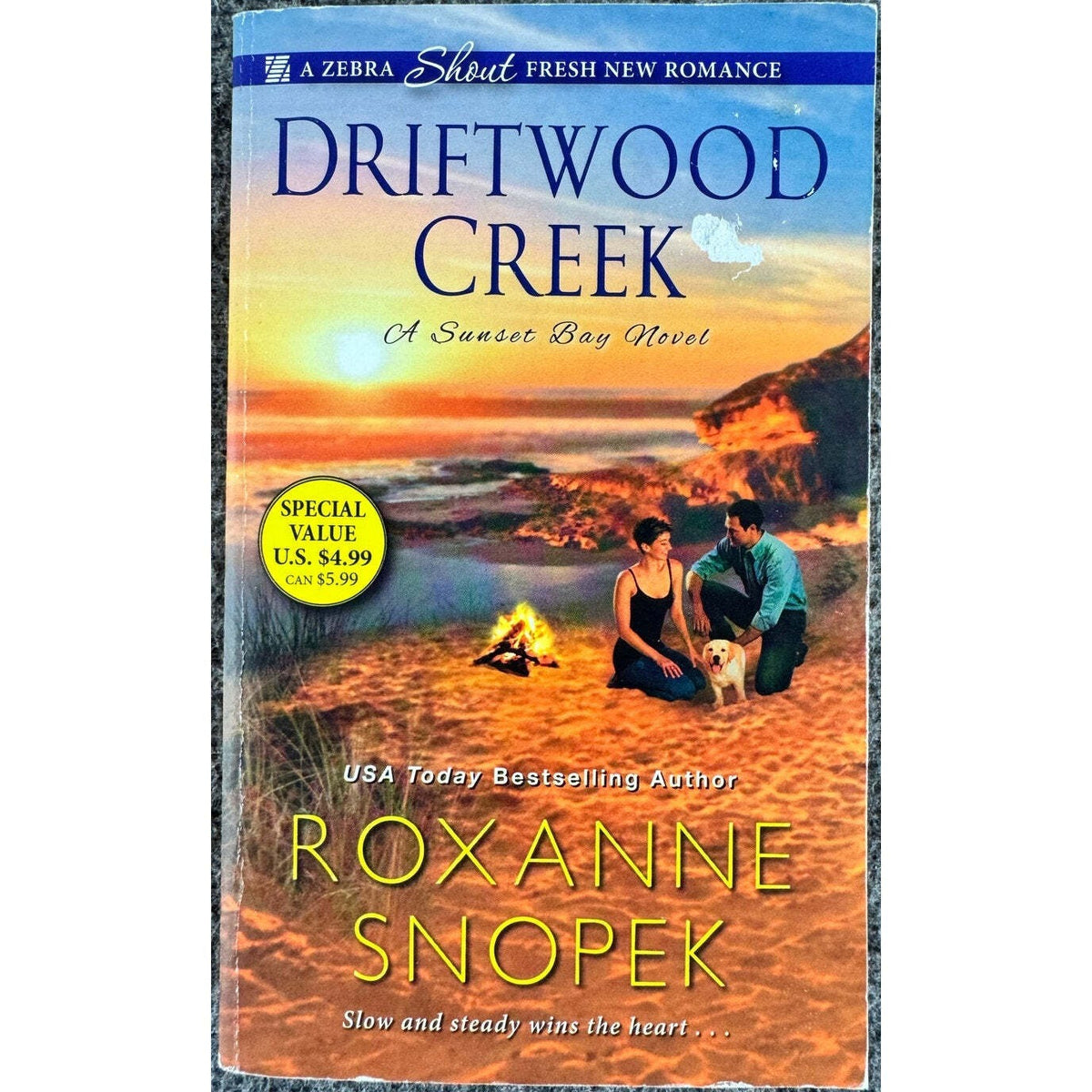 Driftwood Creek by Roxanne Snopek (Paperback) - Image 1