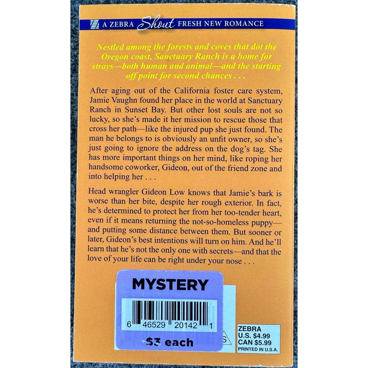 Driftwood Creek by Roxanne Snopek (Paperback) - Image 2