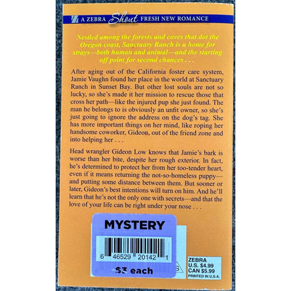 Driftwood Creek by Roxanne Snopek (Paperback) - Image 2
