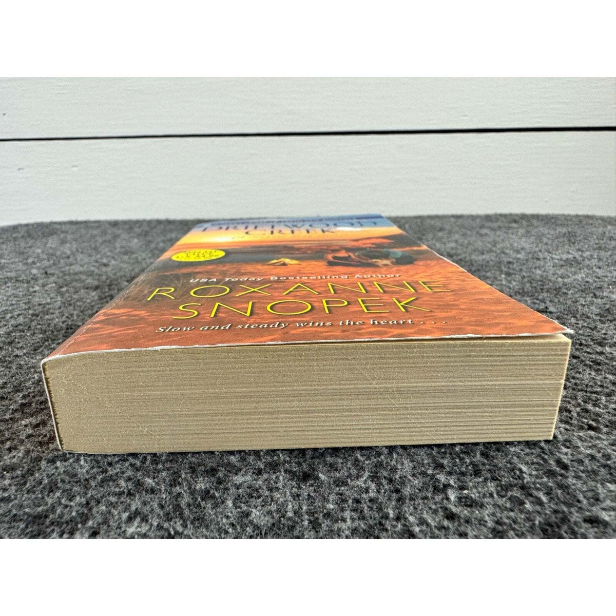 Driftwood Creek by Roxanne Snopek (Paperback) - Image 4