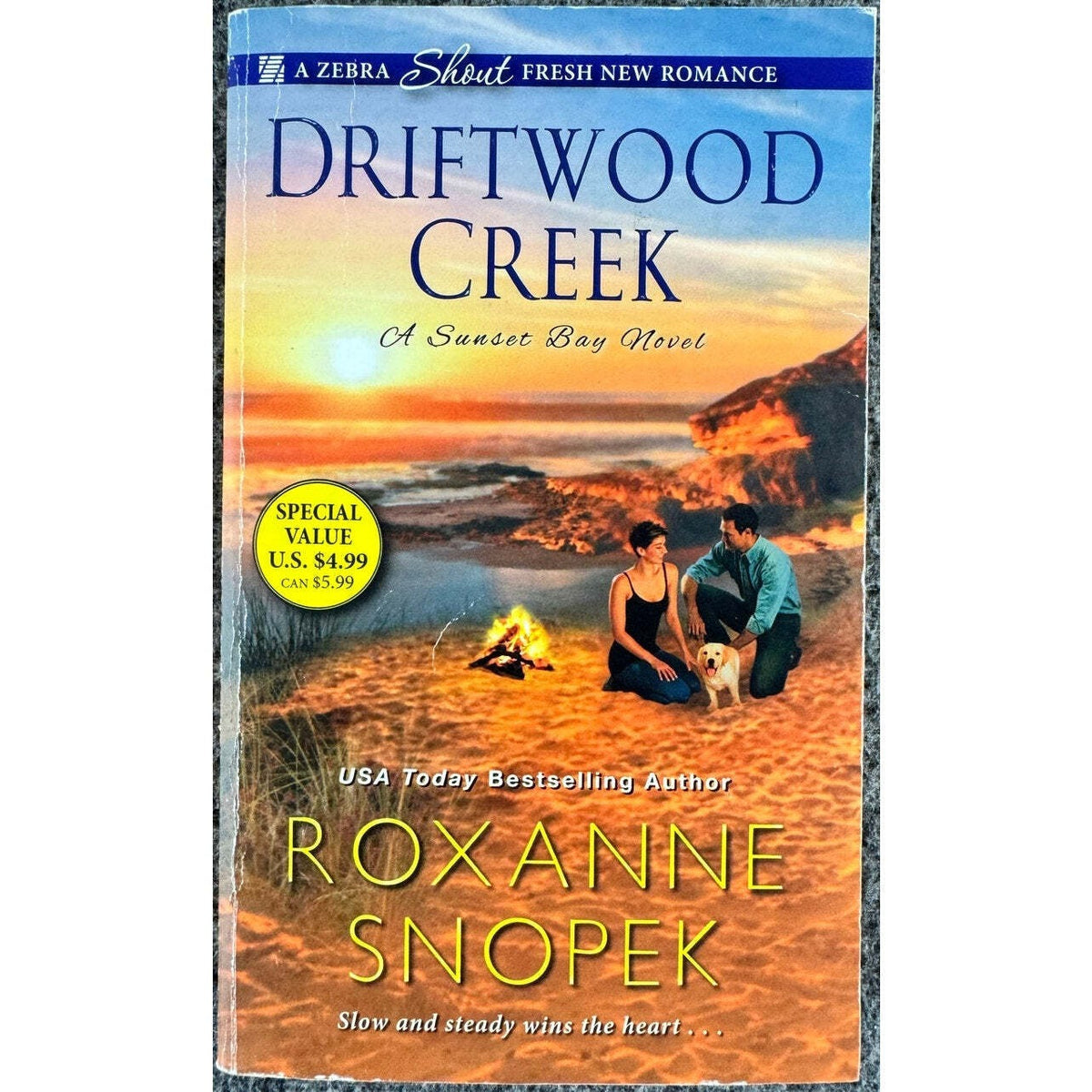 Driftwood Creek by Roxanne Snopek (Paperback) - Image 1
