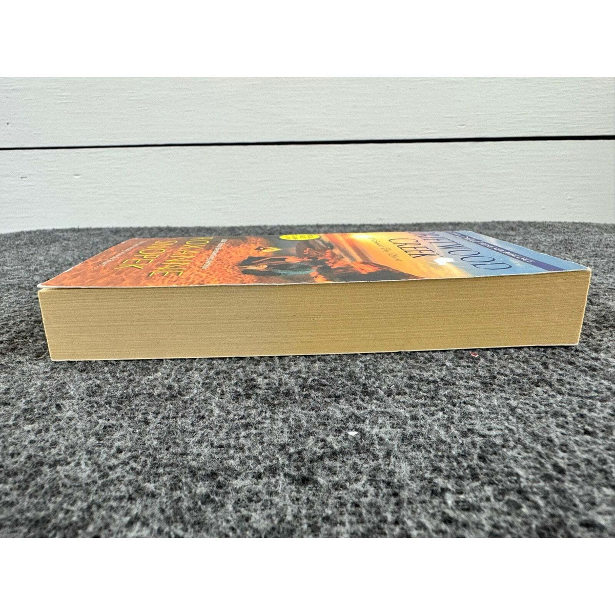 Driftwood Creek by Roxanne Snopek (Paperback) - Image 5