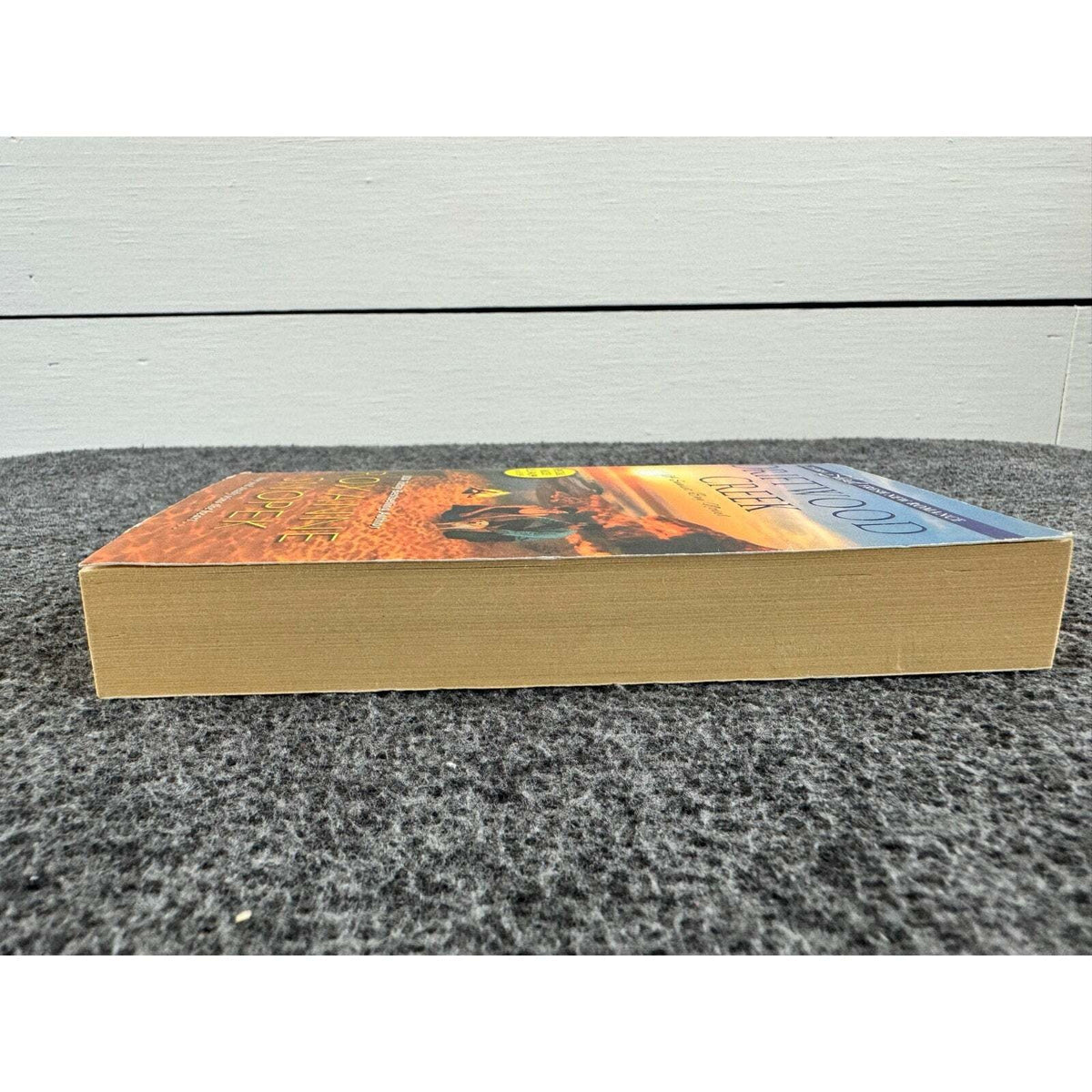 Driftwood Creek by Roxanne Snopek (Paperback) - Image 5