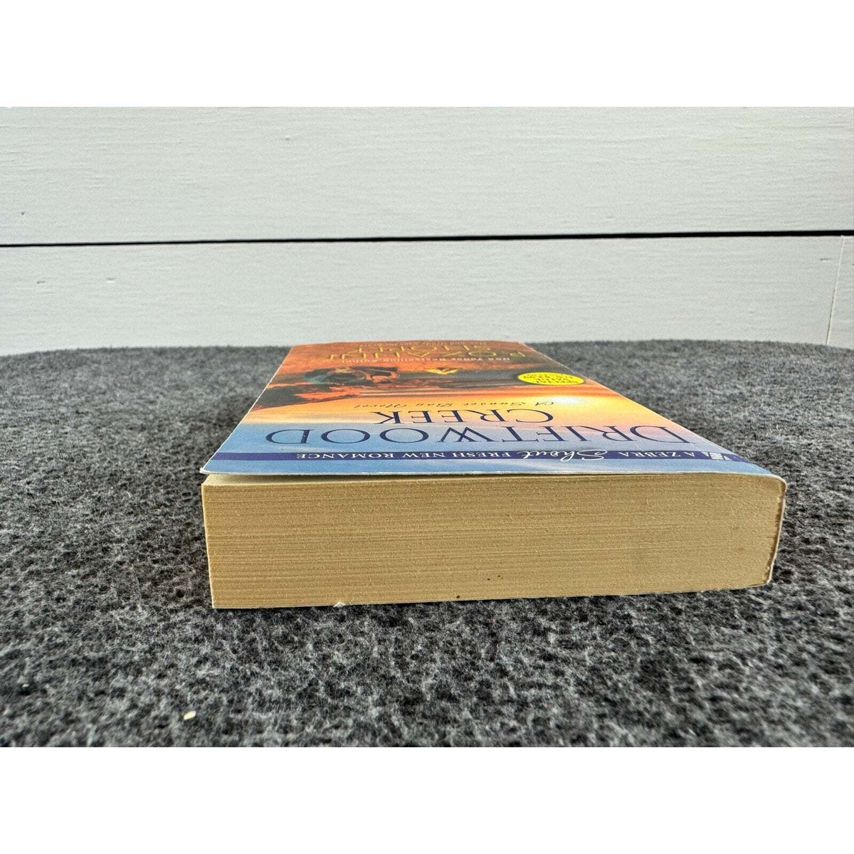 Driftwood Creek by Roxanne Snopek (Paperback) - Image 6