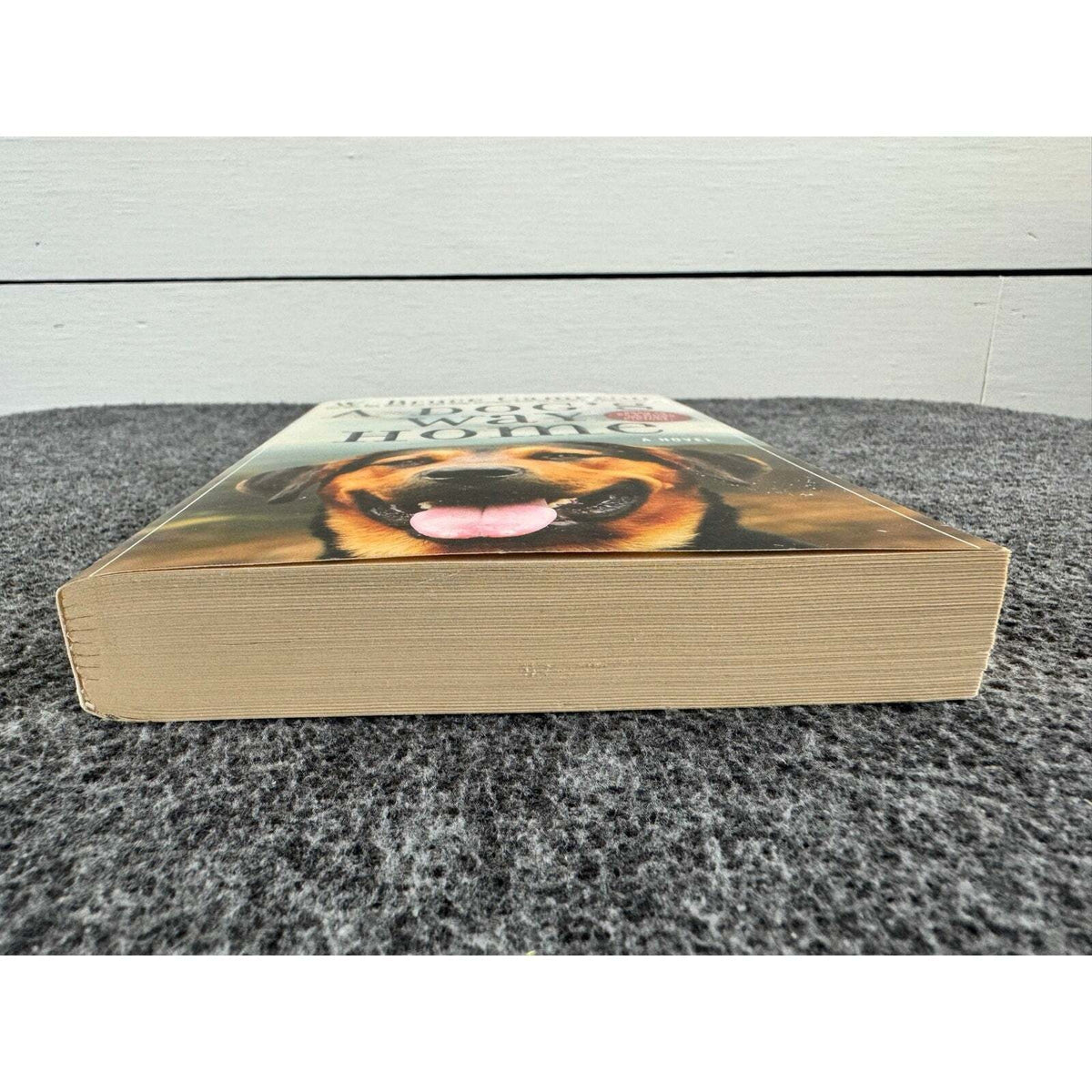 A Dog's Way Home by W. Bruce Cameron (Paperback) - Image 4