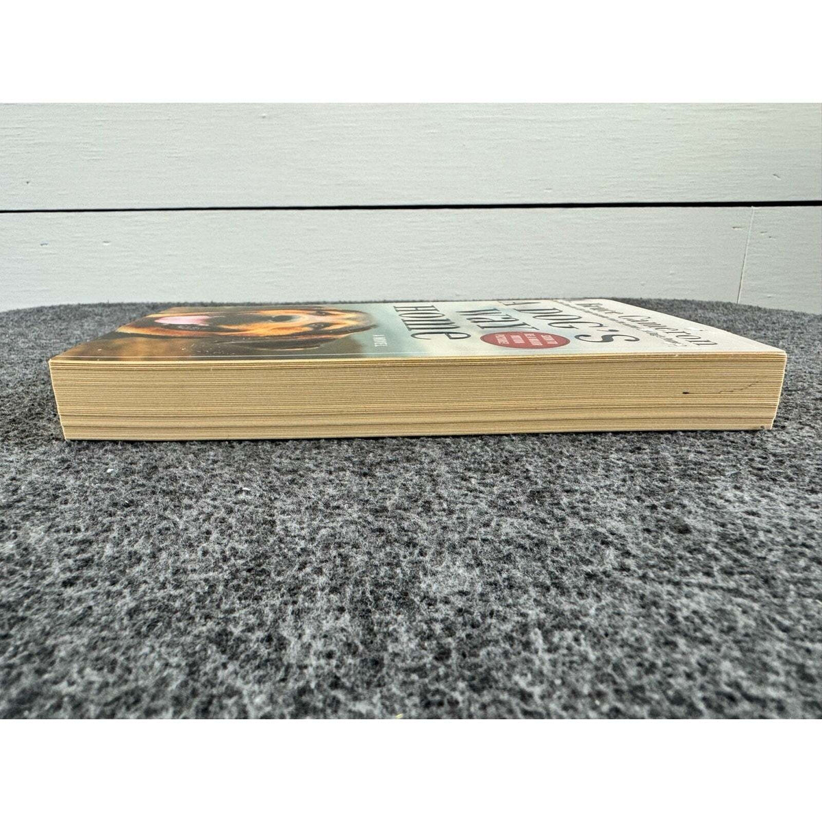 A Dog's Way Home by W. Bruce Cameron (Paperback) - Image 5