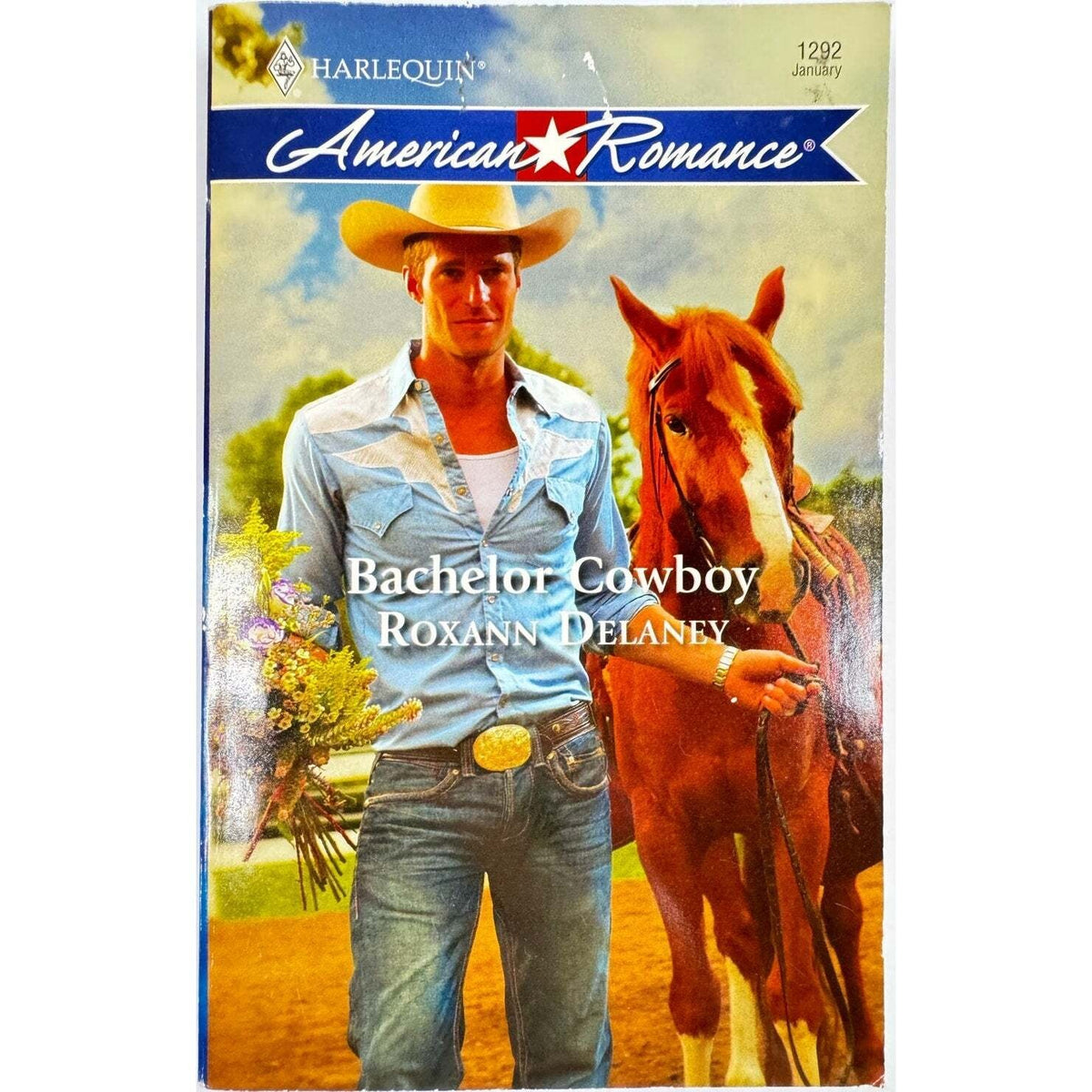 Bachelor Cowboy by Roxann Delaney (Paperback) - Image 1