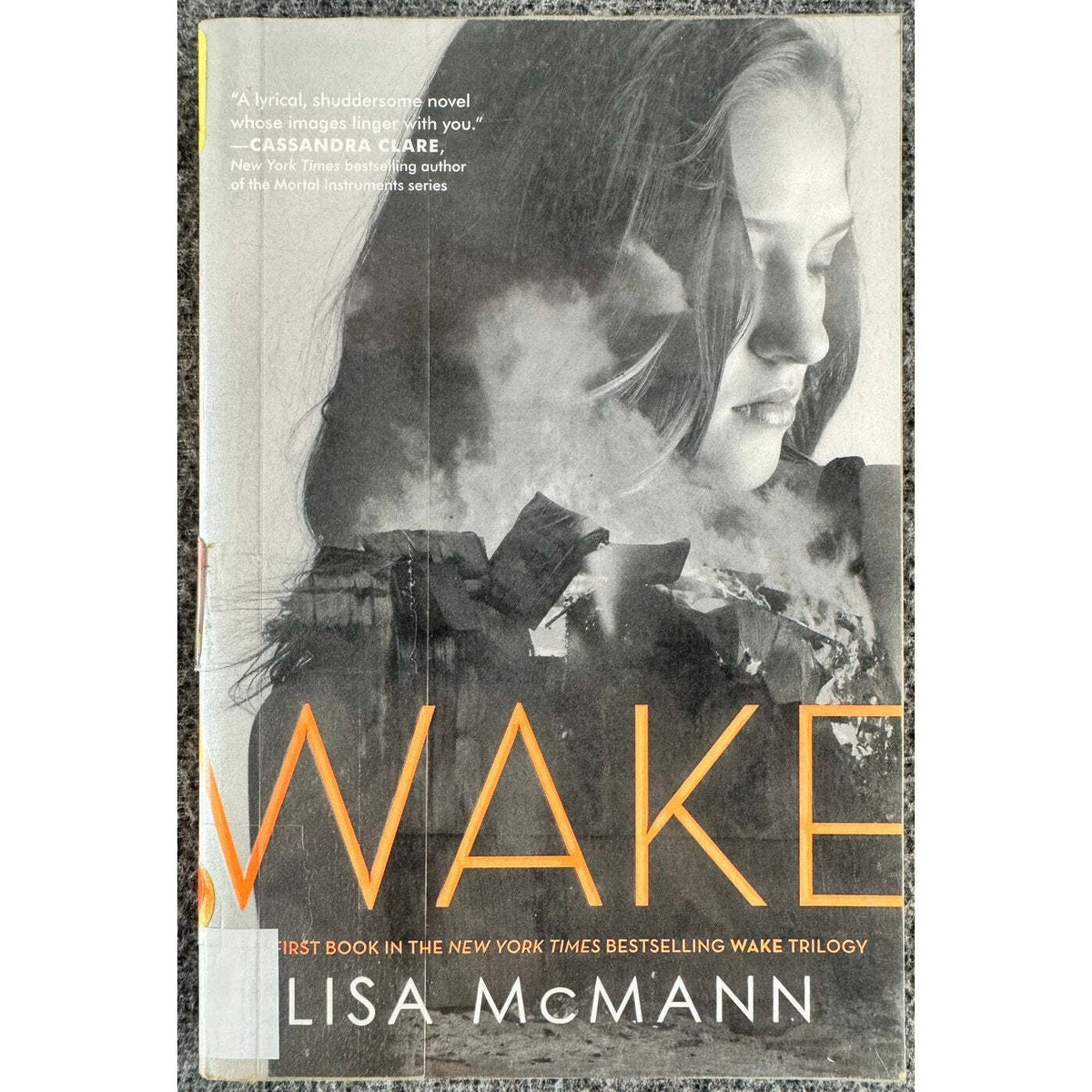 Wake by Lisa McMann (Paperback) - Image 1