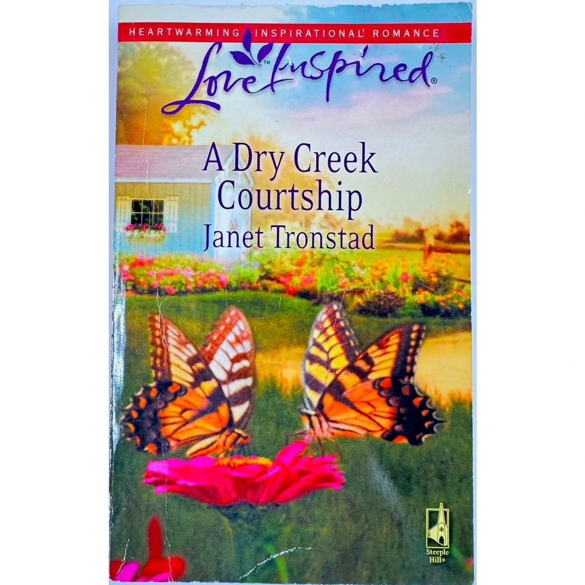A Dry Creek Courtship by Janet Tronstad (Paperback) - Image 1