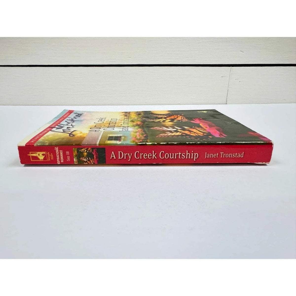 A Dry Creek Courtship by Janet Tronstad (Paperback) - Image 3