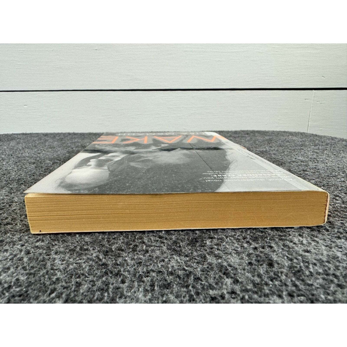 Wake by Lisa McMann (Paperback) - Image 6