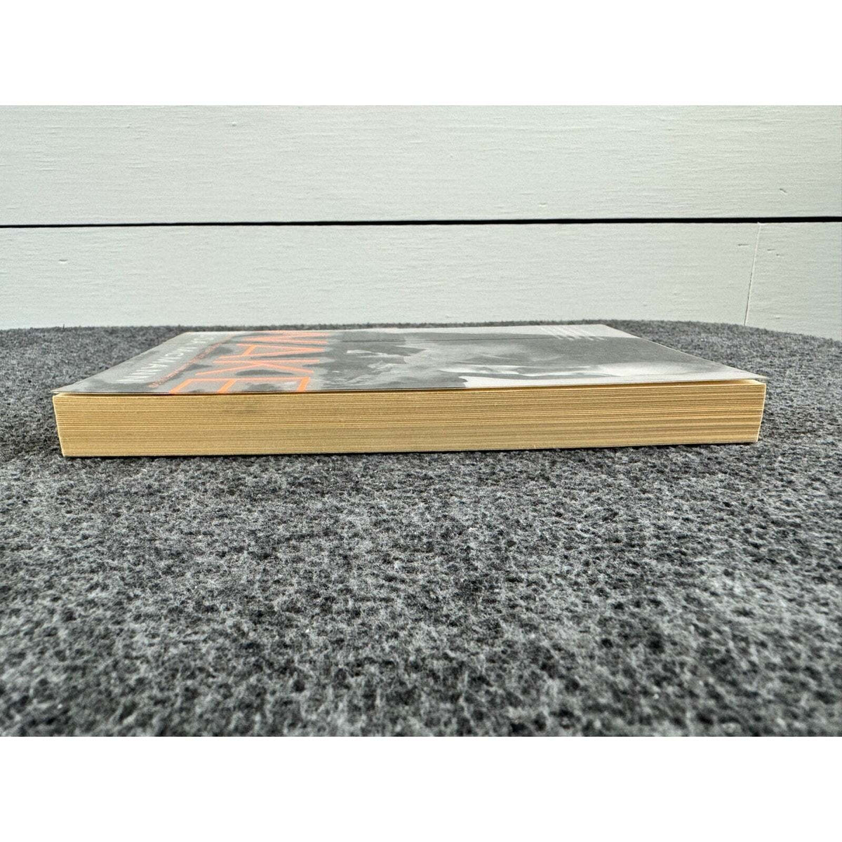 Wake by Lisa McMann (Paperback) - Image 5