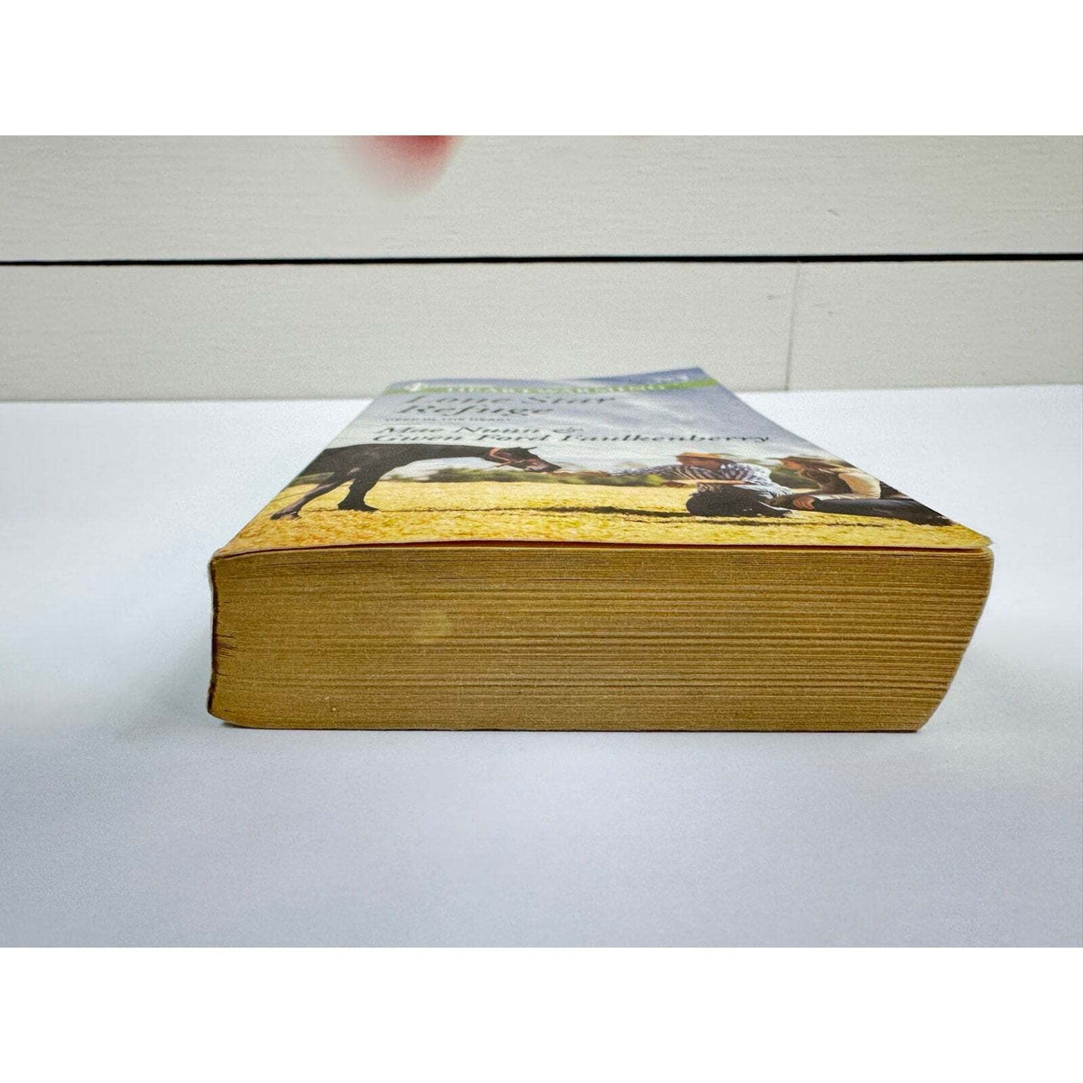 Lone Star Refuge by Mae Nunn (Paperback) (Large Print) - Image 4