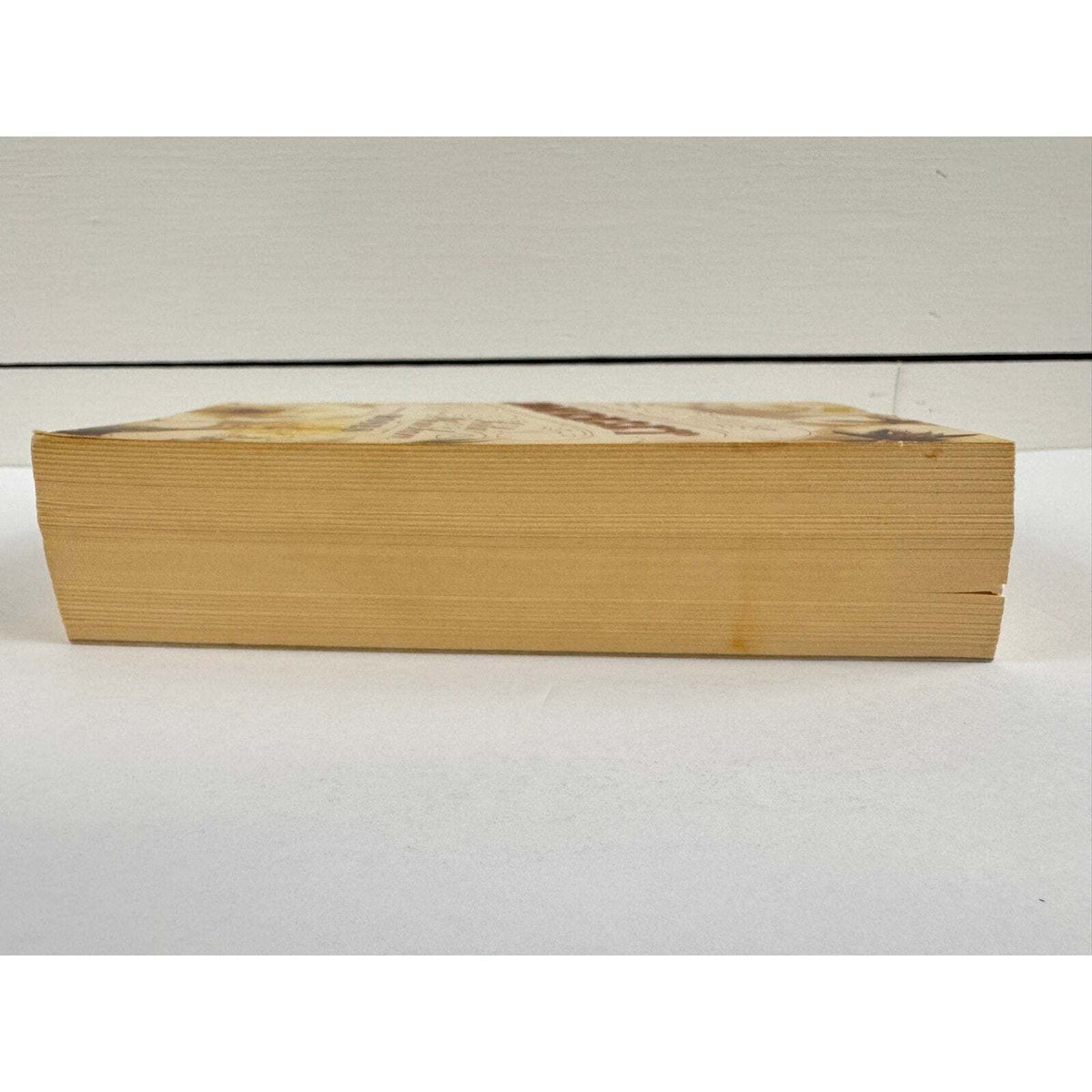 Somerset by Leila Meacham (Paperback) - Image 5