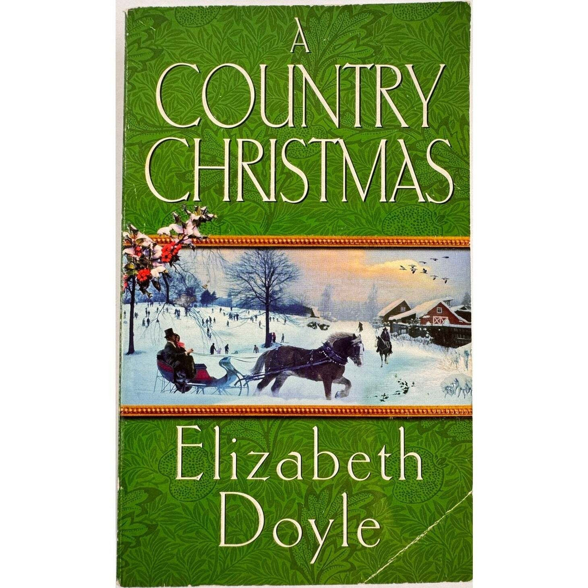 A Country Christmas by Elizabeth Doyle (Paperback) - Image 1