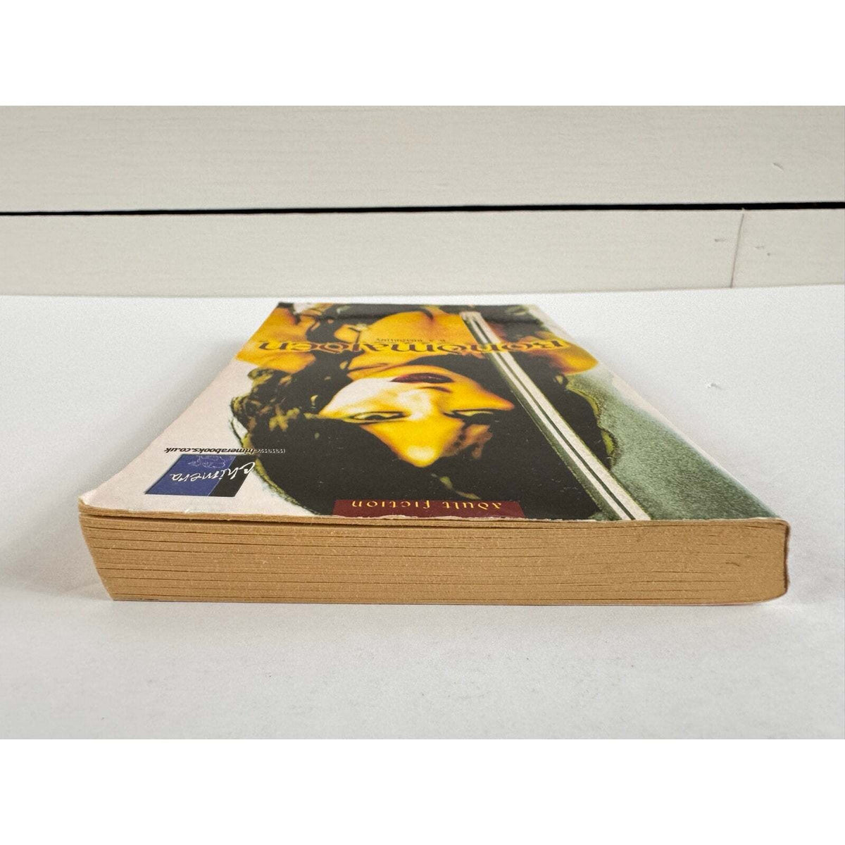 Bondmaiden by B.A. Bradbury (Paperback) - Image 6