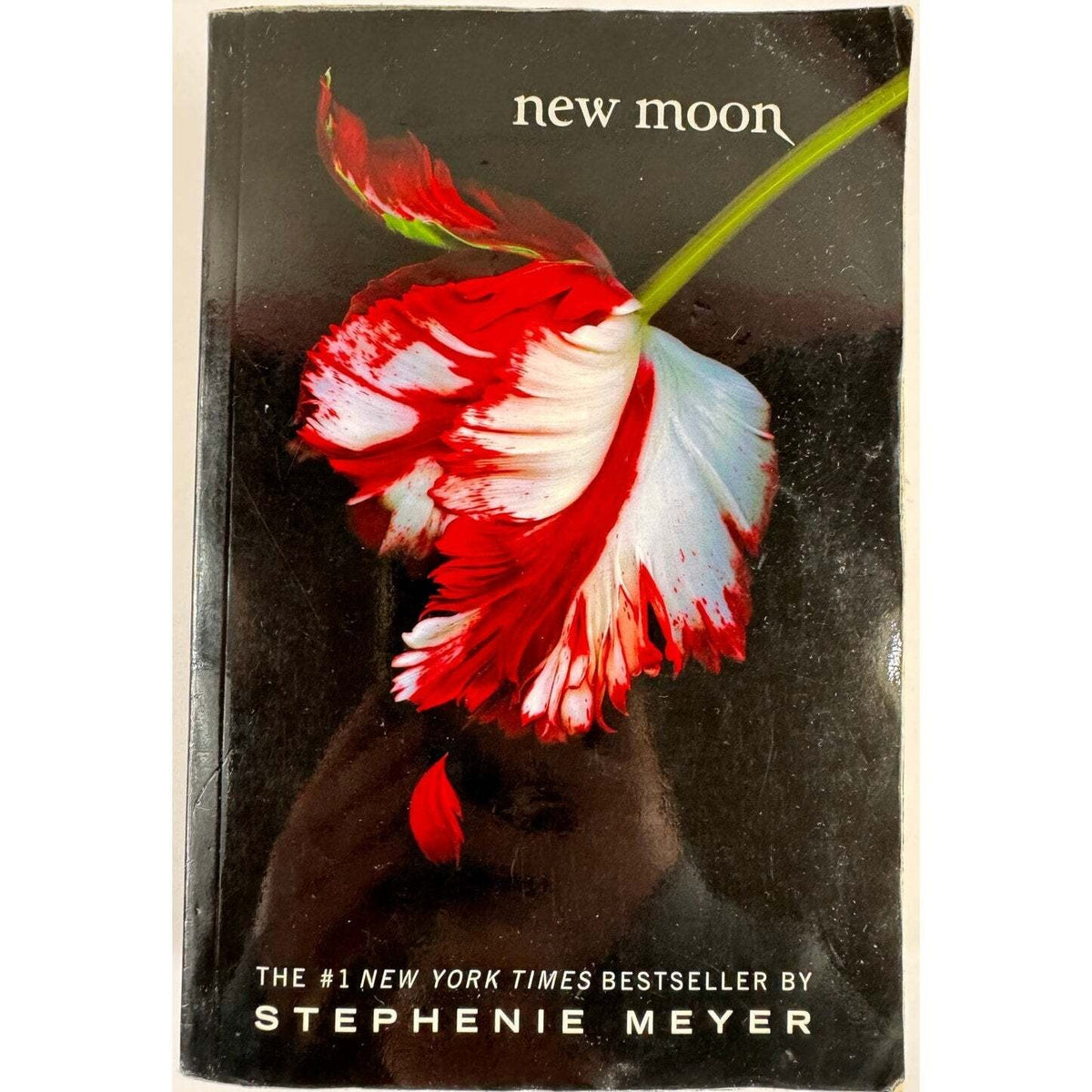 New Moon by Stephenie Meyer (Paperback) - Image 1