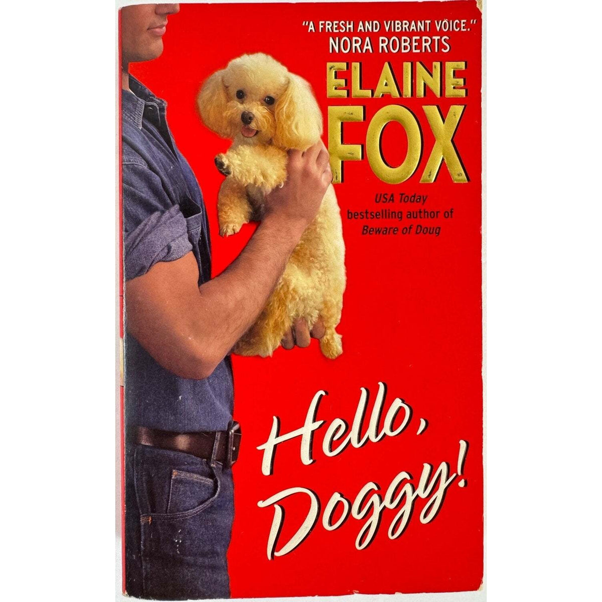 Hello, Doggy! by Elaine Fox (Paperback) - Image 1