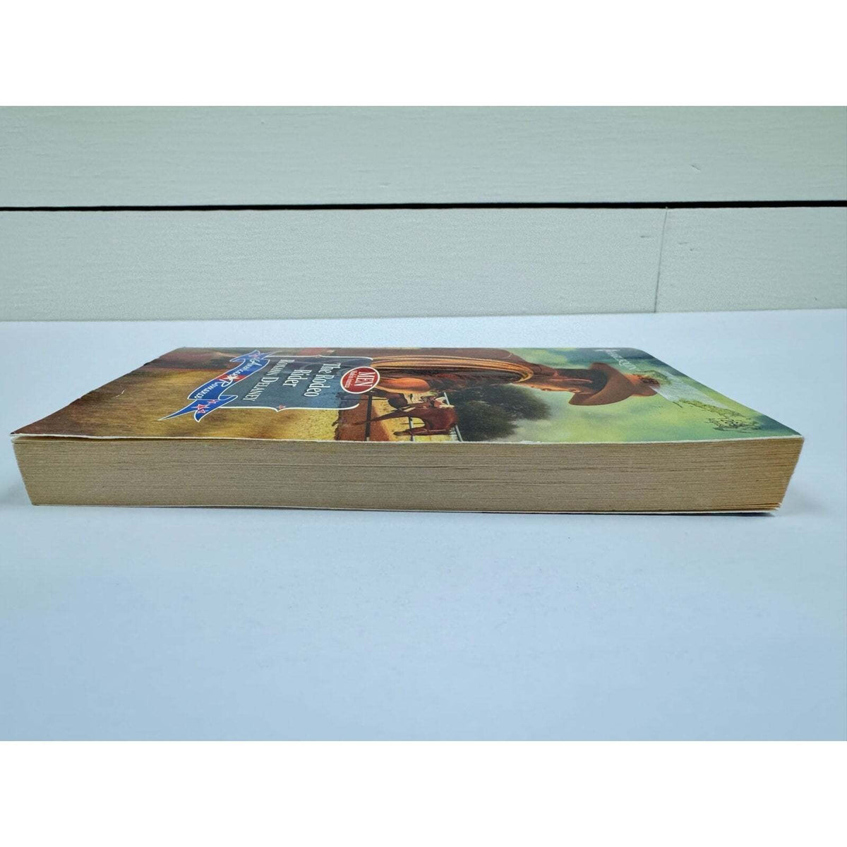 The Rodeo Rider by Roxann Delaney (Paperback) - Image 4