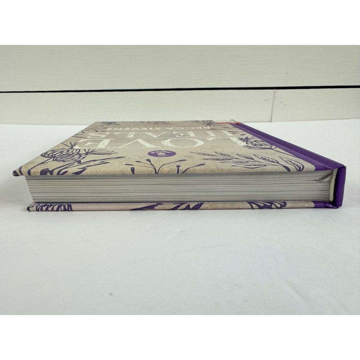 Love Heals by Becca Stevens (Hardcover) - Image 6