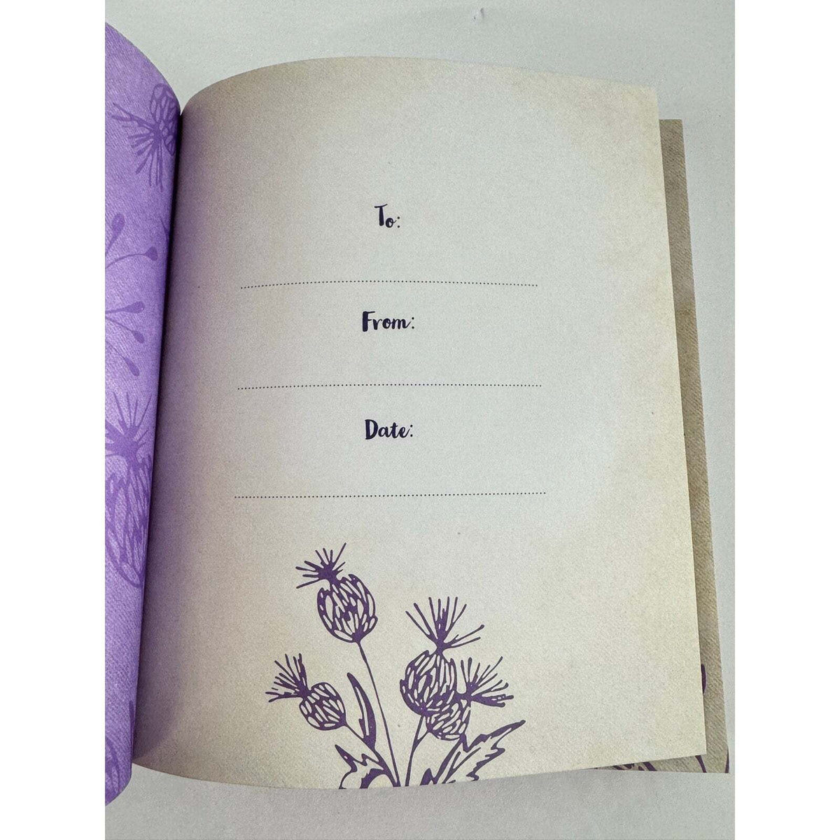 Love Heals by Becca Stevens (Hardcover) - Image 7